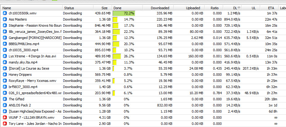 seednet-6.7Mbps-download.jpg